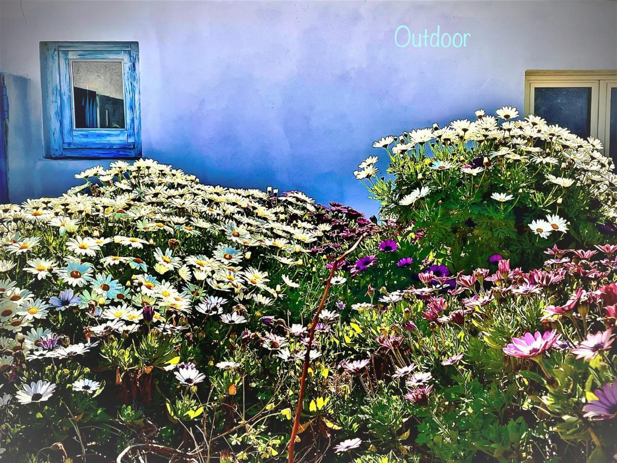 פלומיני די קווארטו B&B Le Pavoncelle Sarde מראה חיצוני תמונה